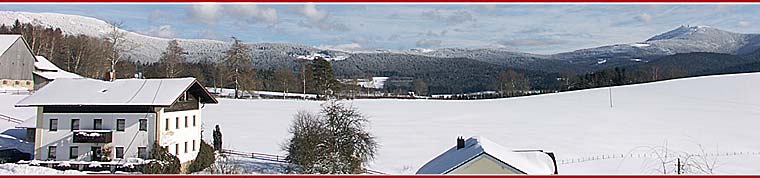 Anfrage an Ferienwohnungen am Arber in Lohberg Bayerischer Wald